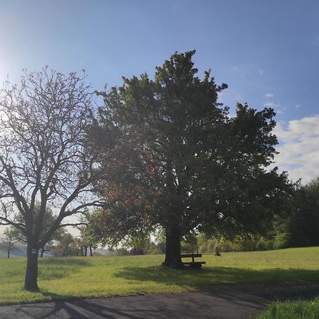 Ferienwohnung Kirchberg Uettingen Bagian luar foto